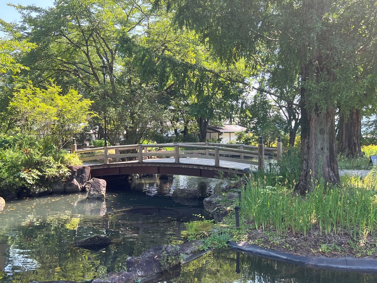 群馬県　中之島線町
中之条ガーデンズ
●バラ園のバラ
●バラ園のバラのアー...