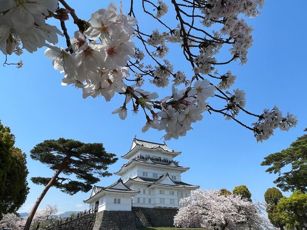 日本・熱海「小田原、熱海♨️からの江の浦測候所」の写真