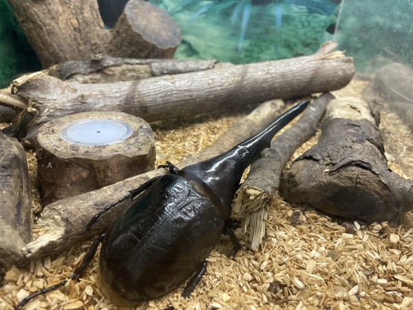 日本・長崎県「23/4/30バイオパーク」の写真