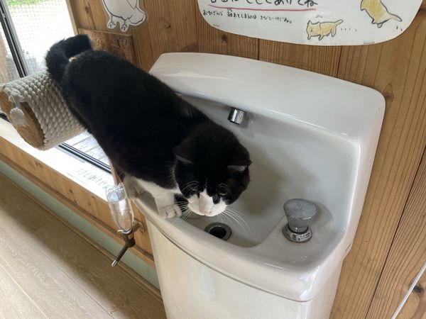 日本・長崎県「23/4/30バイオパーク」の写真