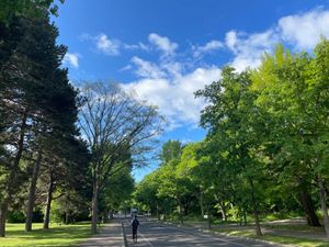 早起きして朝食前に北大キャンパスを散歩。新緑が美しいキャンパスでした。