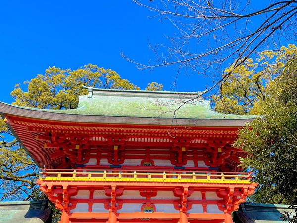 日本・埼玉県「大宮どうする」の写真
