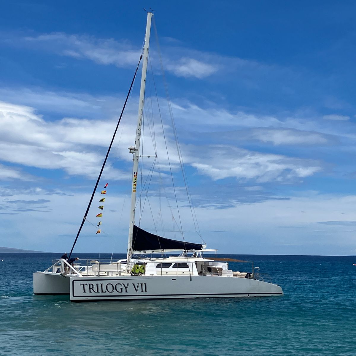スノーケリングツアーにも参加しました！
🐠🐬に会えました。
