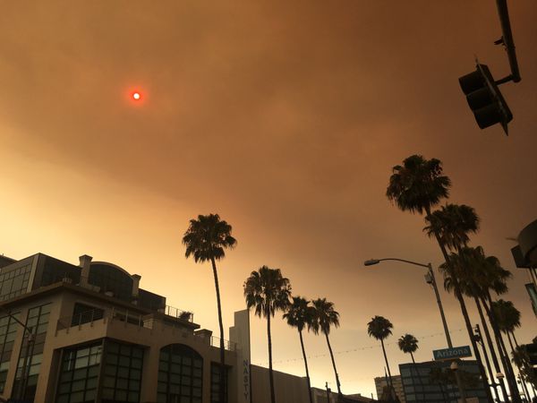 アメリカ(米国)・LosAngeles「最高の遊学」の写真：・帰り道の夕日
・日本フェス行った時
・...