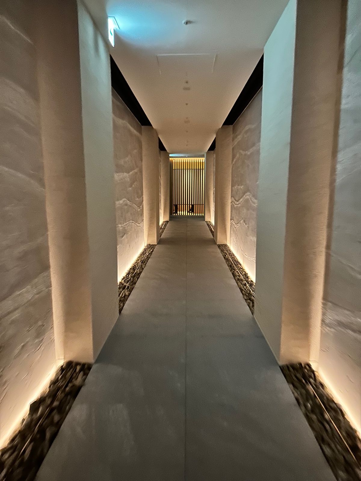 ウェルカムドリンク美味しい

今回もレイクビューにしていただけた。

夜の...