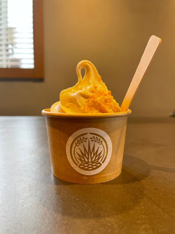 日本・秋田県「秋田」の写真