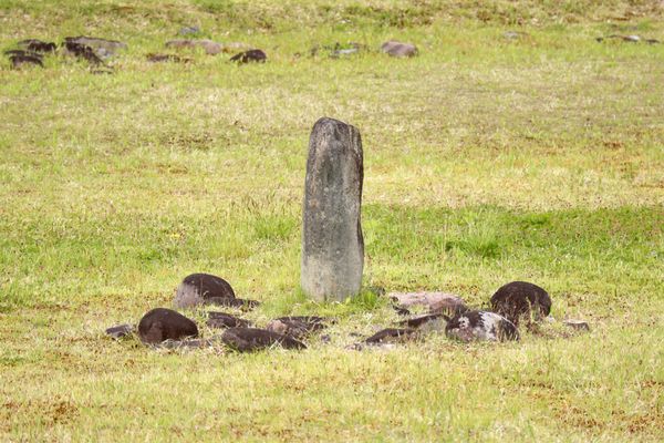 日本・秋田県「秋田の旅」の写真：大湯環状列石