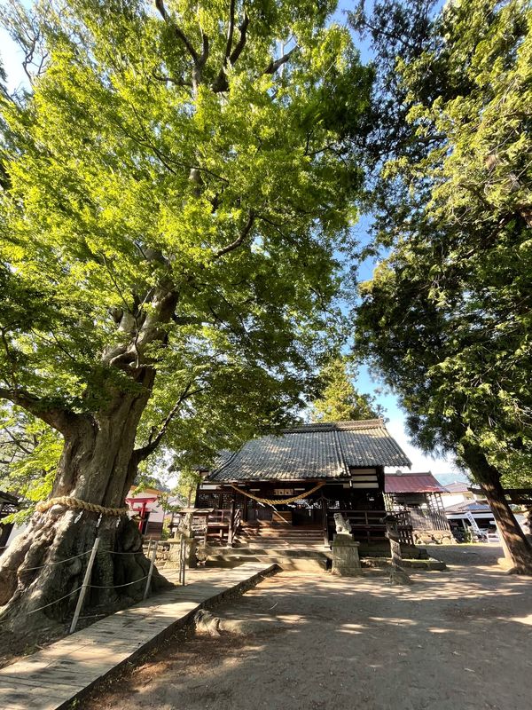 日本・長野県「長野」の写真