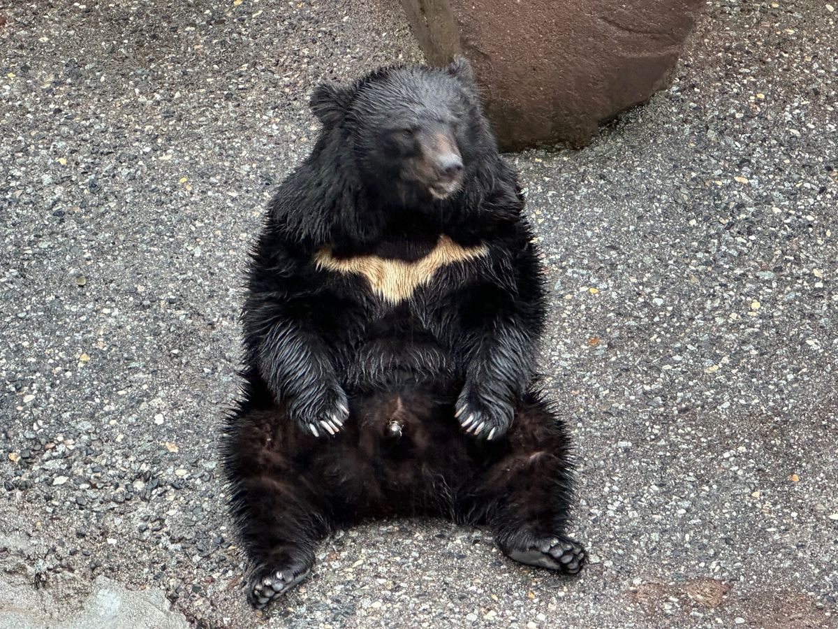 奥飛騨温泉郷
クマ牧場と温泉