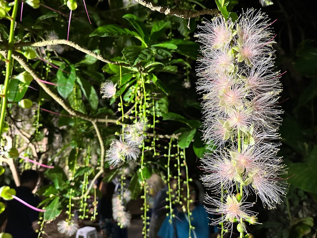 夜も楽しい宮古島
外食難民もコンビニ飯も中々