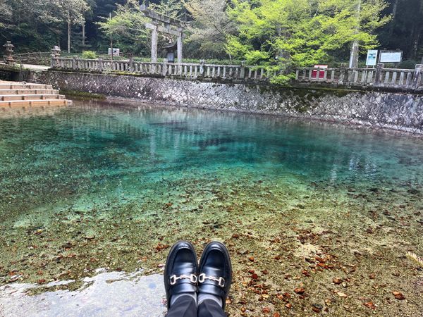 日本・山口県「山口県」の写真：弁天池