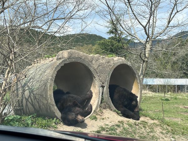 日本・山口県「山口県」の写真