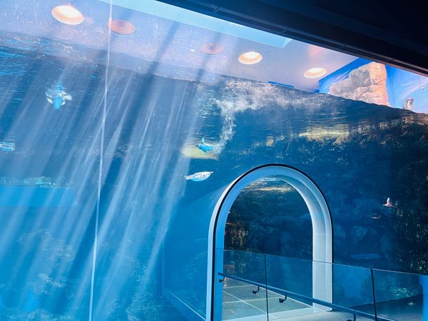 日本・山口県「山口県」の写真