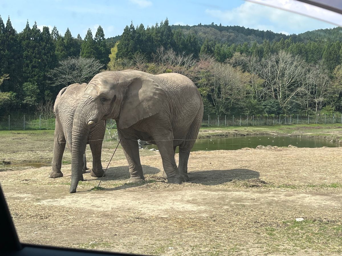 秋吉台サファリパーク