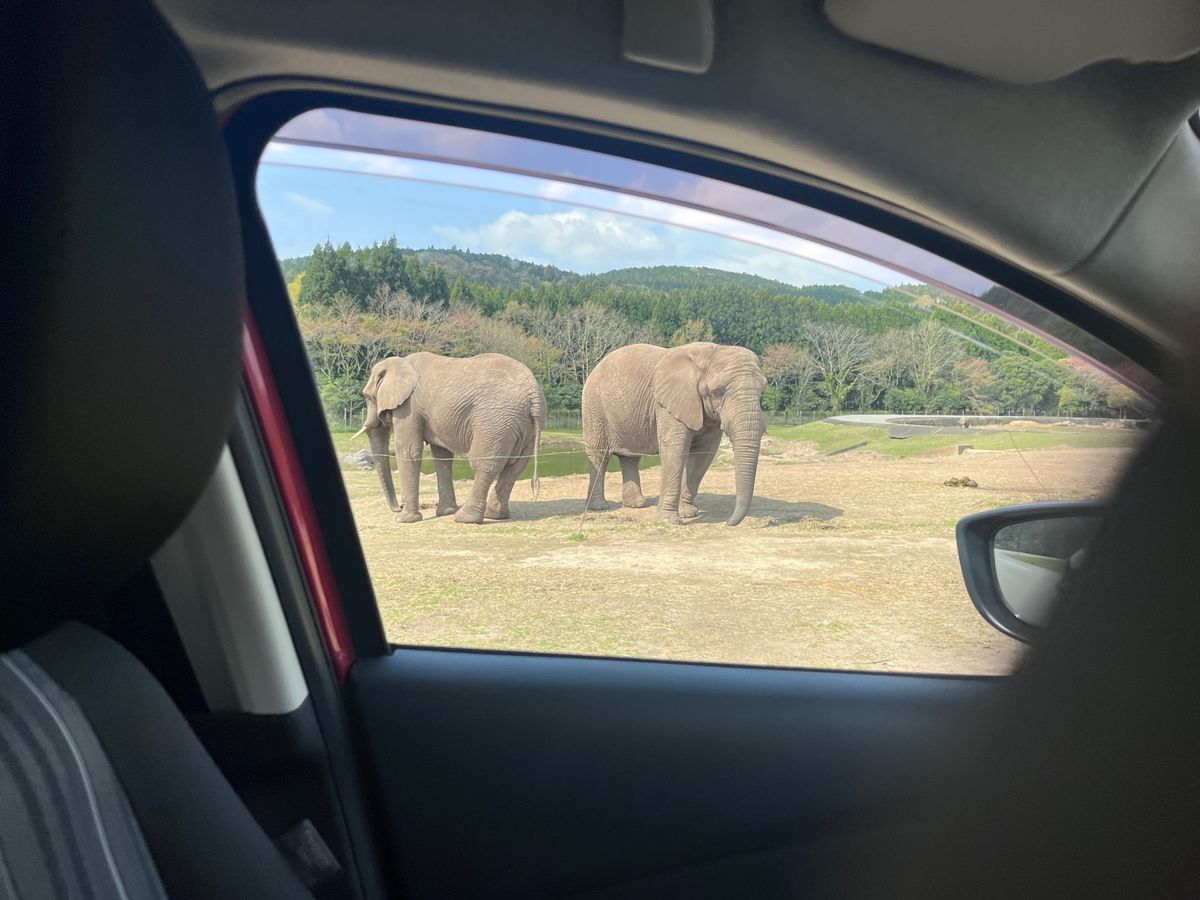 秋吉台サファリパーク
