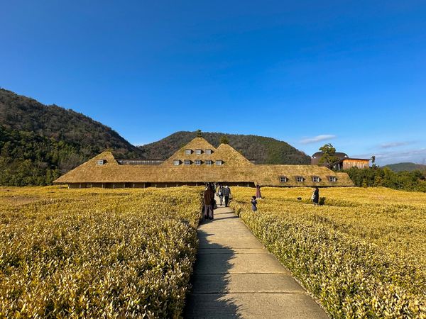 日本・滋賀県「滋賀旅行」の写真