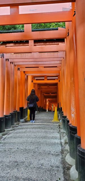 深夜バスで京都へ、早朝から伏見稲荷
清水寺でコナンの聖地巡礼
どんぐり共和...