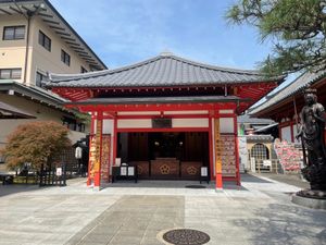 深夜バスで京都へ、早朝から伏見稲荷
清水寺でコナンの聖地巡礼
どんぐり共和...