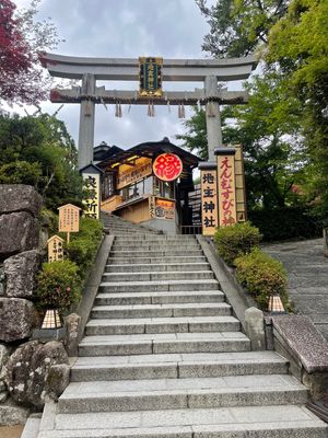 修学旅行では行かなかった京都奈良。
京都はちょこちょこ行ってたけどコロナで...