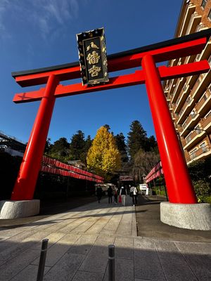 宮城初上陸！初東北新幹線！
NEWSの音楽のオーラスのため宮城へ。
見るも...