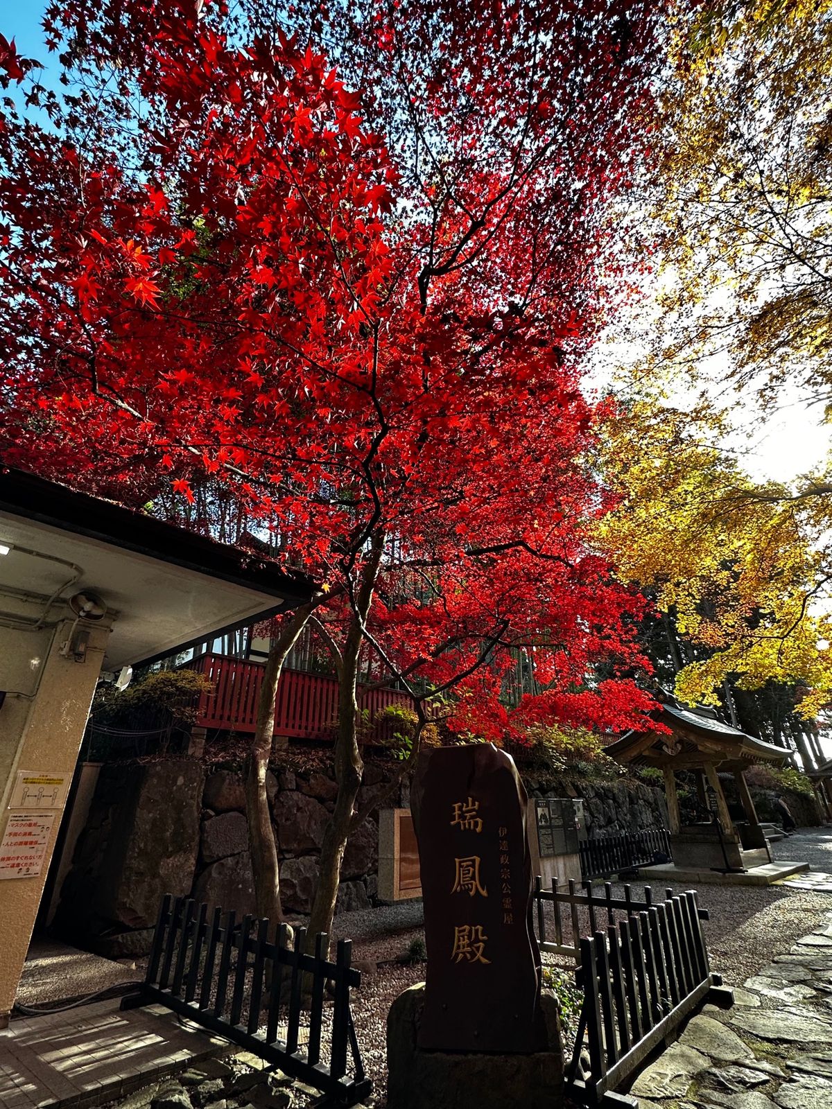 宮城初上陸！初東北新幹線！
NEWSの音楽のオーラスのため宮城へ。
見るも...