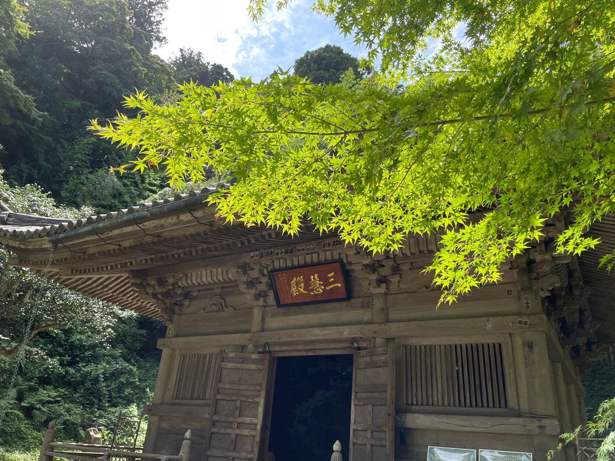 円通寺。初めて行きましたが、青紅葉が綺麗なお寺でした。なかなか良かったです。