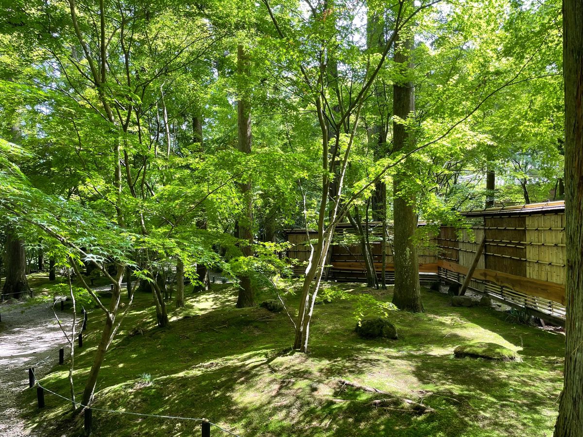 円通寺。初めて行きましたが、青紅葉が綺麗なお寺でした。なかなか良かったです。