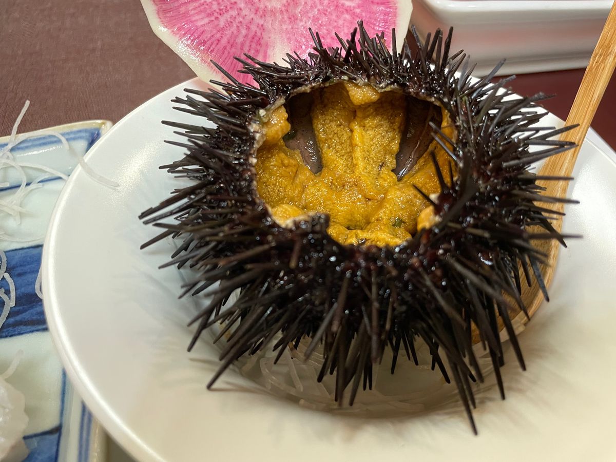 佐勘の夕食。どの料理も美味しかったです。