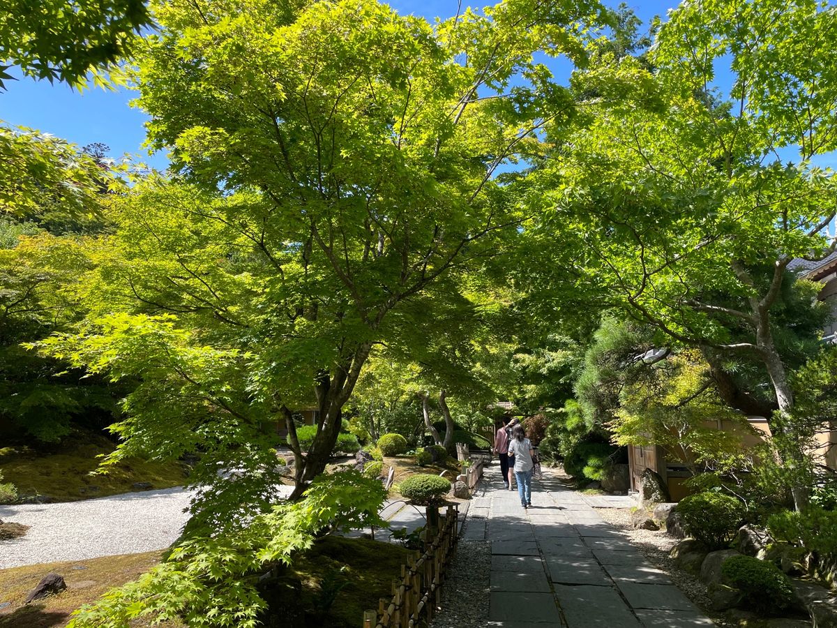 円通寺。初めて行きましたが、青紅葉が綺麗なお寺でした。なかなか良かったです。