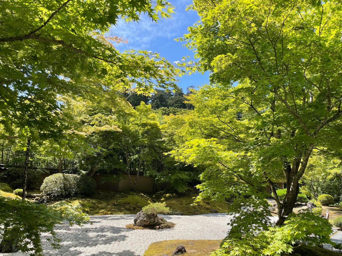 円通寺。初めて行きましたが、青紅葉が綺麗なお寺でした。なかなか良かったです。