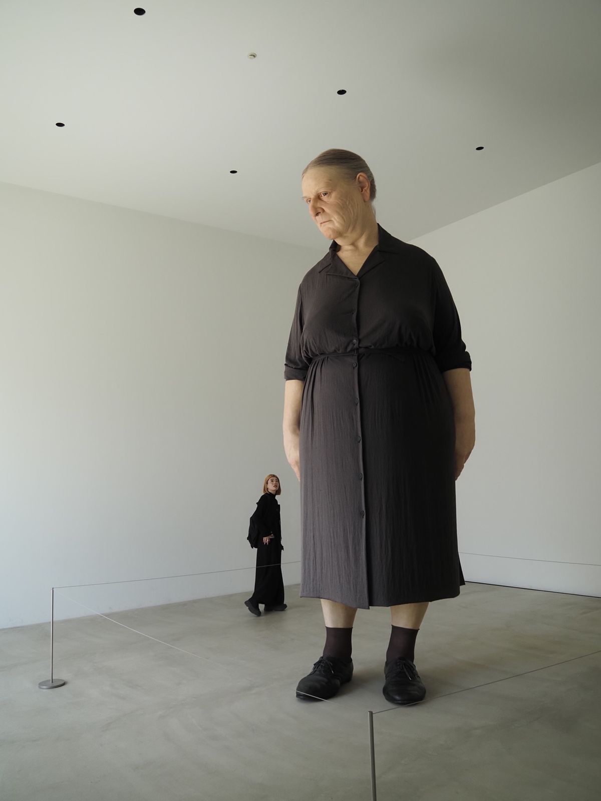 十和田市現代美術館。
ここに行きたくて。
名和さん、塩田さん、奈良さん、大...