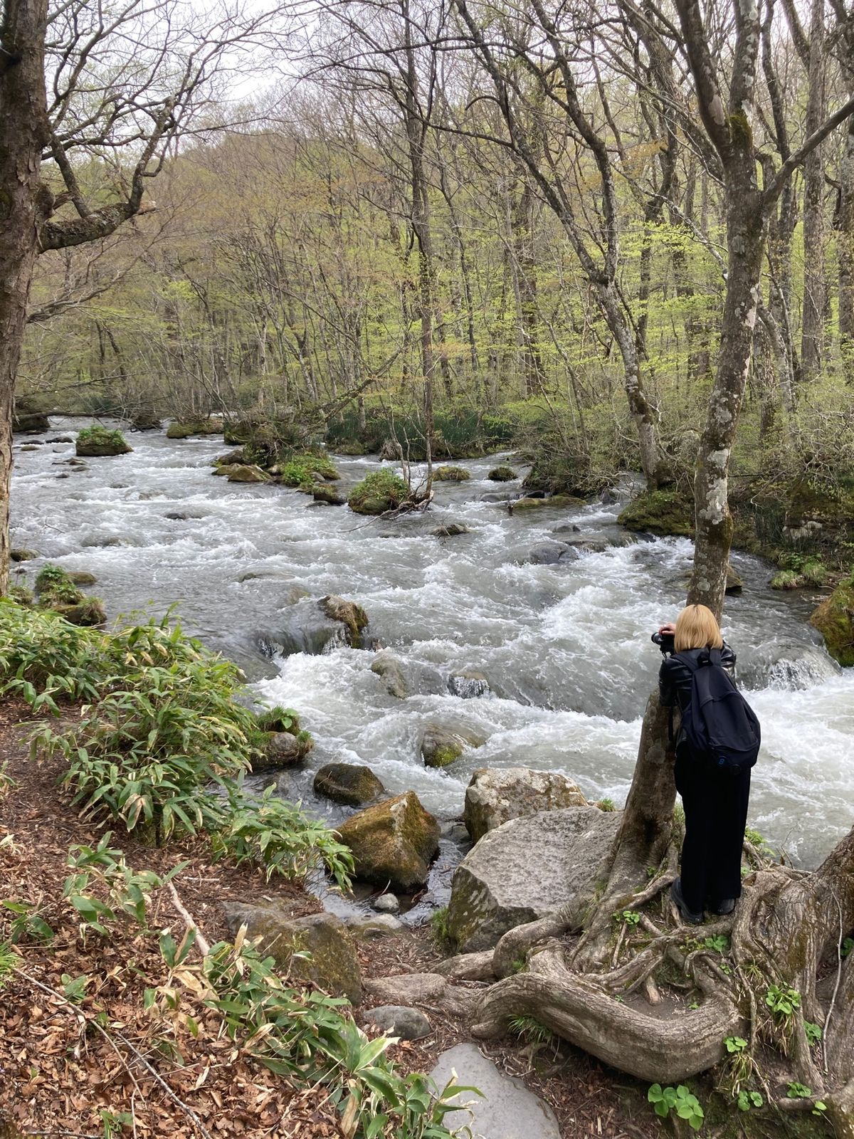 奥入瀬渓谷。
このシュワ〜って写真が撮りたくて📸
2日にわたってやっと成功♡