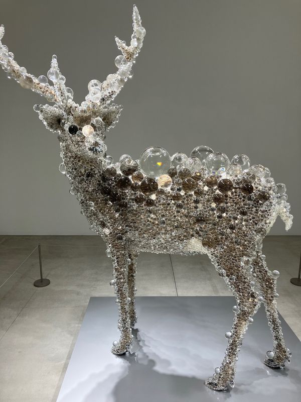 日本・青森県「青森県」の写真：十和田市現代美術館。
ここに行きたくて。...