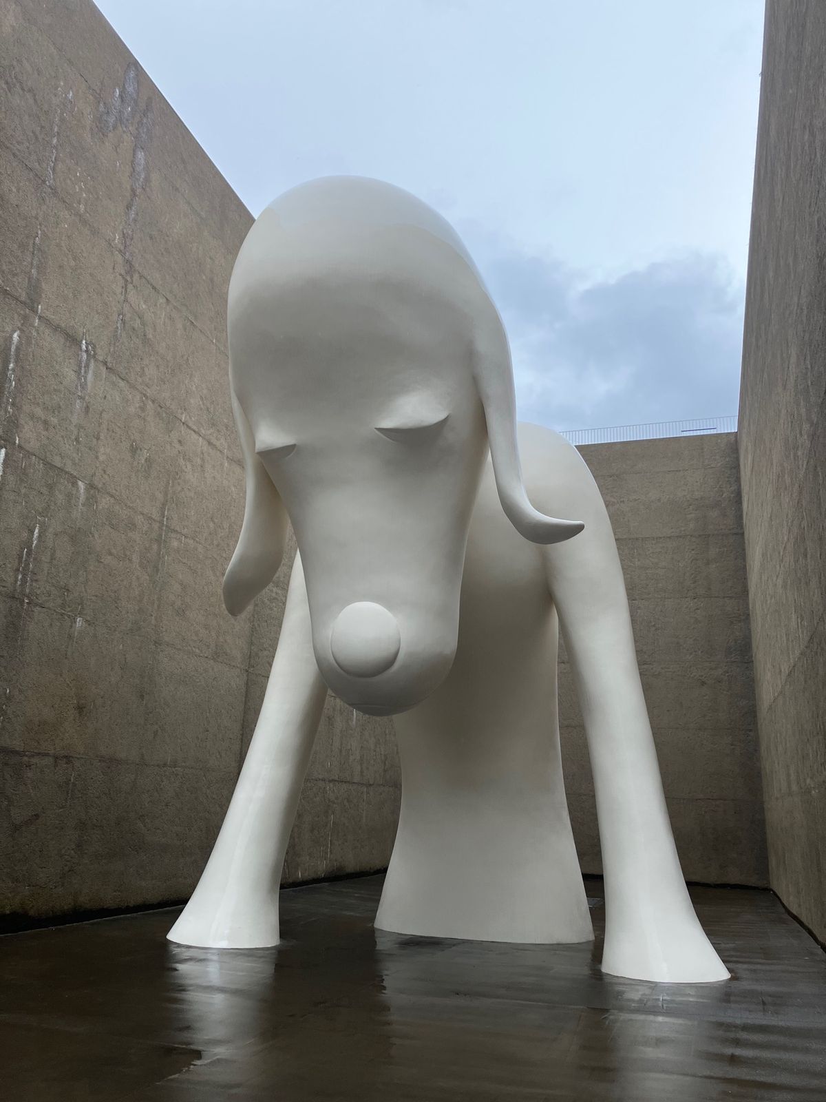 青森県立美術館。
青森犬に会えて超満足♡