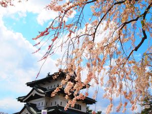 弘前城🏯
桜終わってた〜！