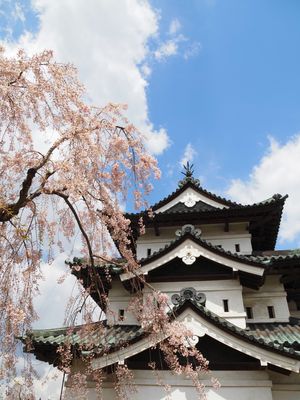 弘前城🏯
桜終わってた〜！