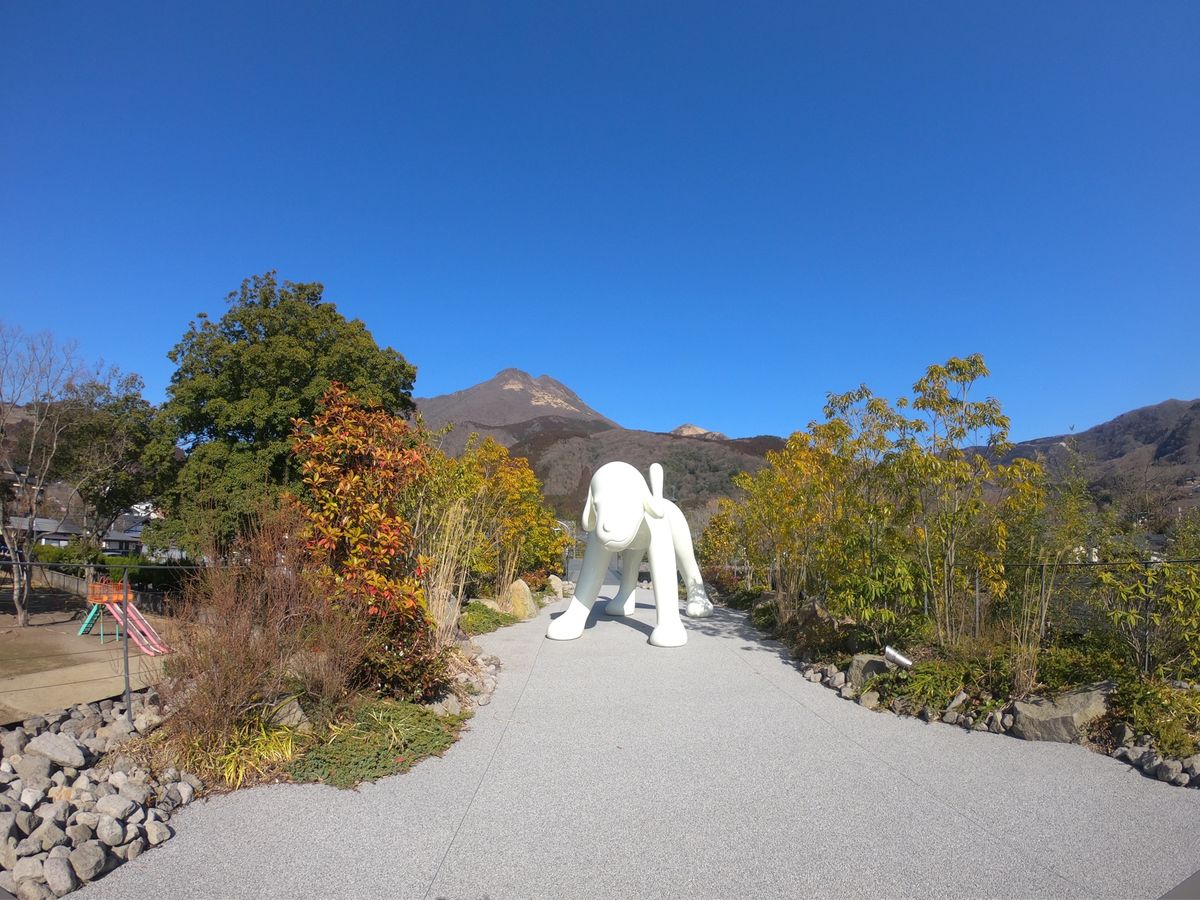 由布岳は景観を綺麗に保つ為に野焼きをするそう。
行った時は山が黒くて茶色く...