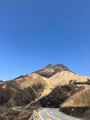 由布岳は景観を綺麗に保つ為に野焼きをするそう。
行った時は山が黒くて茶色く...