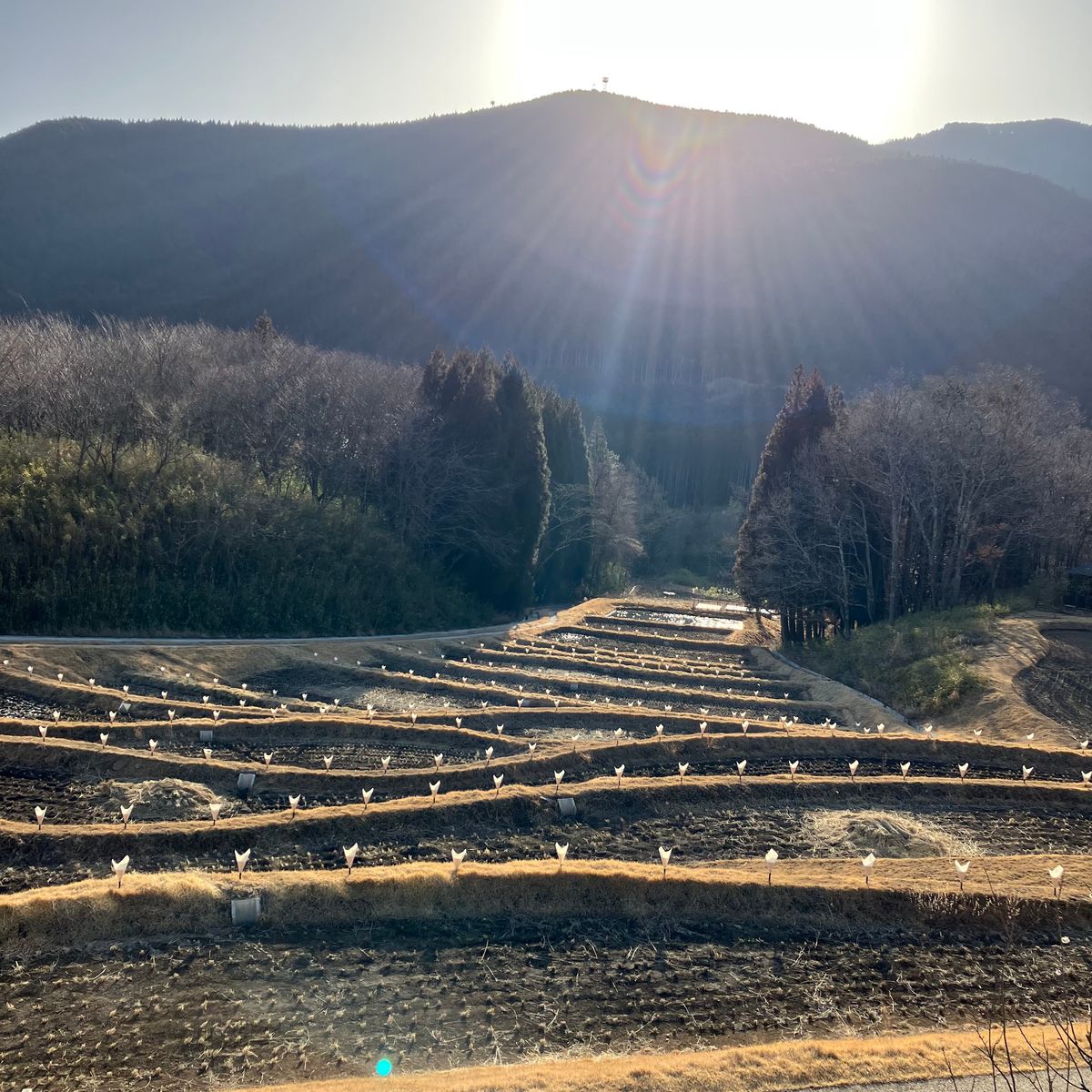 界湯布院に泊まってみたくて。
隈研吾さんの建築で、棚田に囲まれた宿。
素敵...