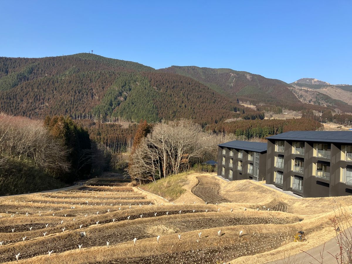 界湯布院に泊まってみたくて。
隈研吾さんの建築で、棚田に囲まれた宿。
素敵...