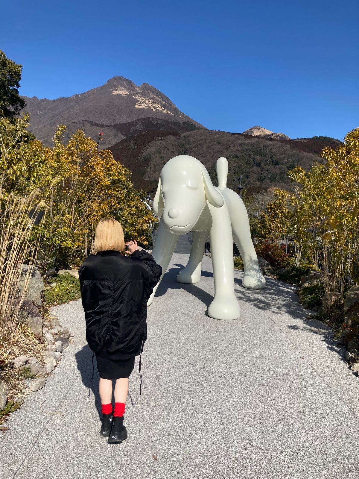 COMICO ART MUSEUM YUFUIN
ここに行きたくて旅行の計...