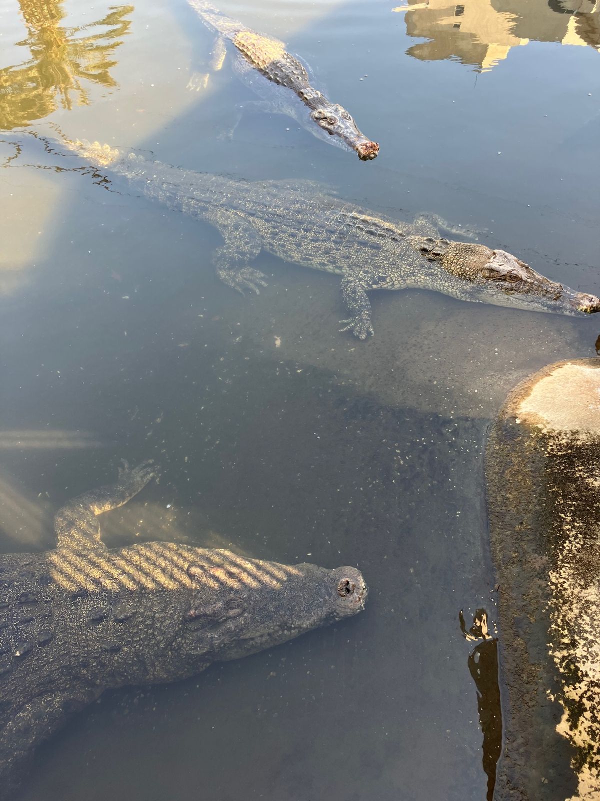 地獄めぐり。
自然にこんな事になるなんてすごい！