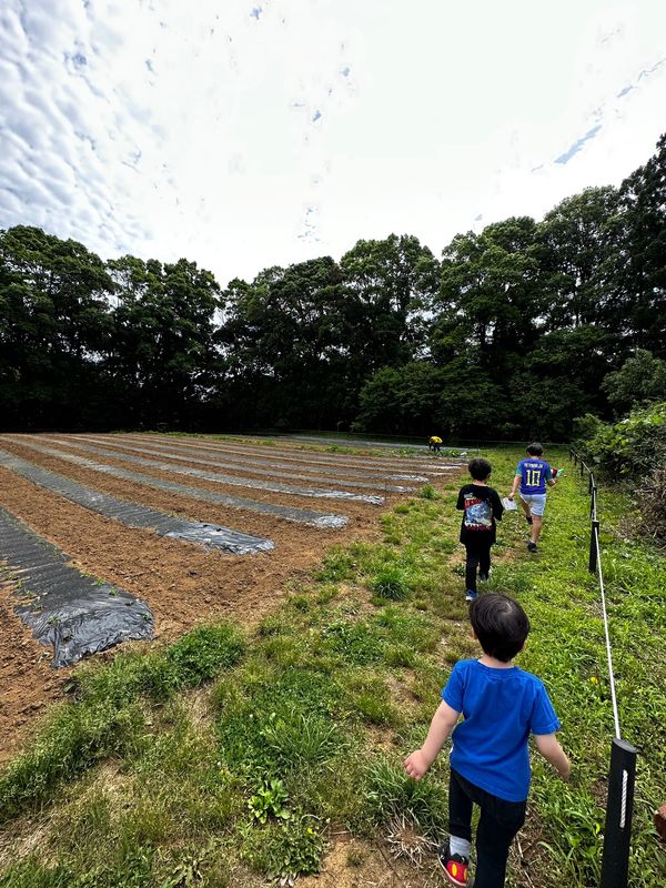 日本・千葉県「農園リゾート ザファーム THE FARM」の写真：ウォークラリーがあって敷地内の側面のちょ...