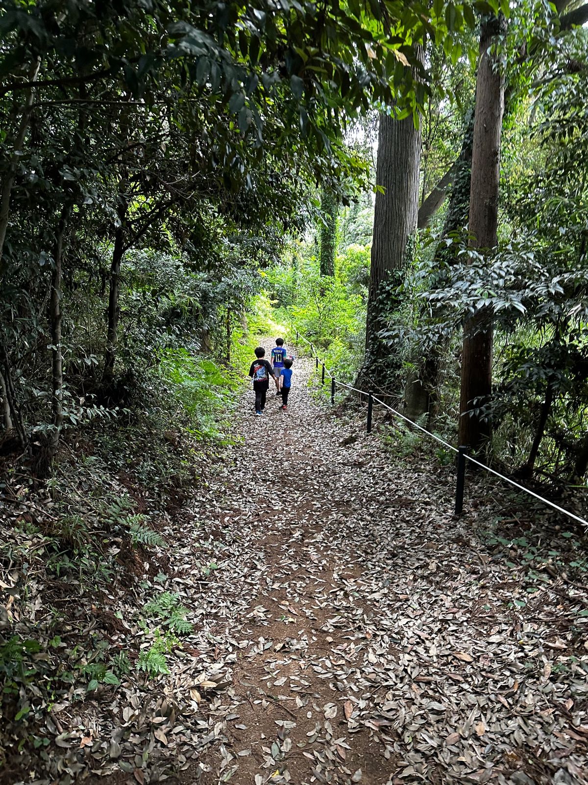 ウォークラリーがあって敷地内の側面のちょっとした山道を散策。途中にチェック...