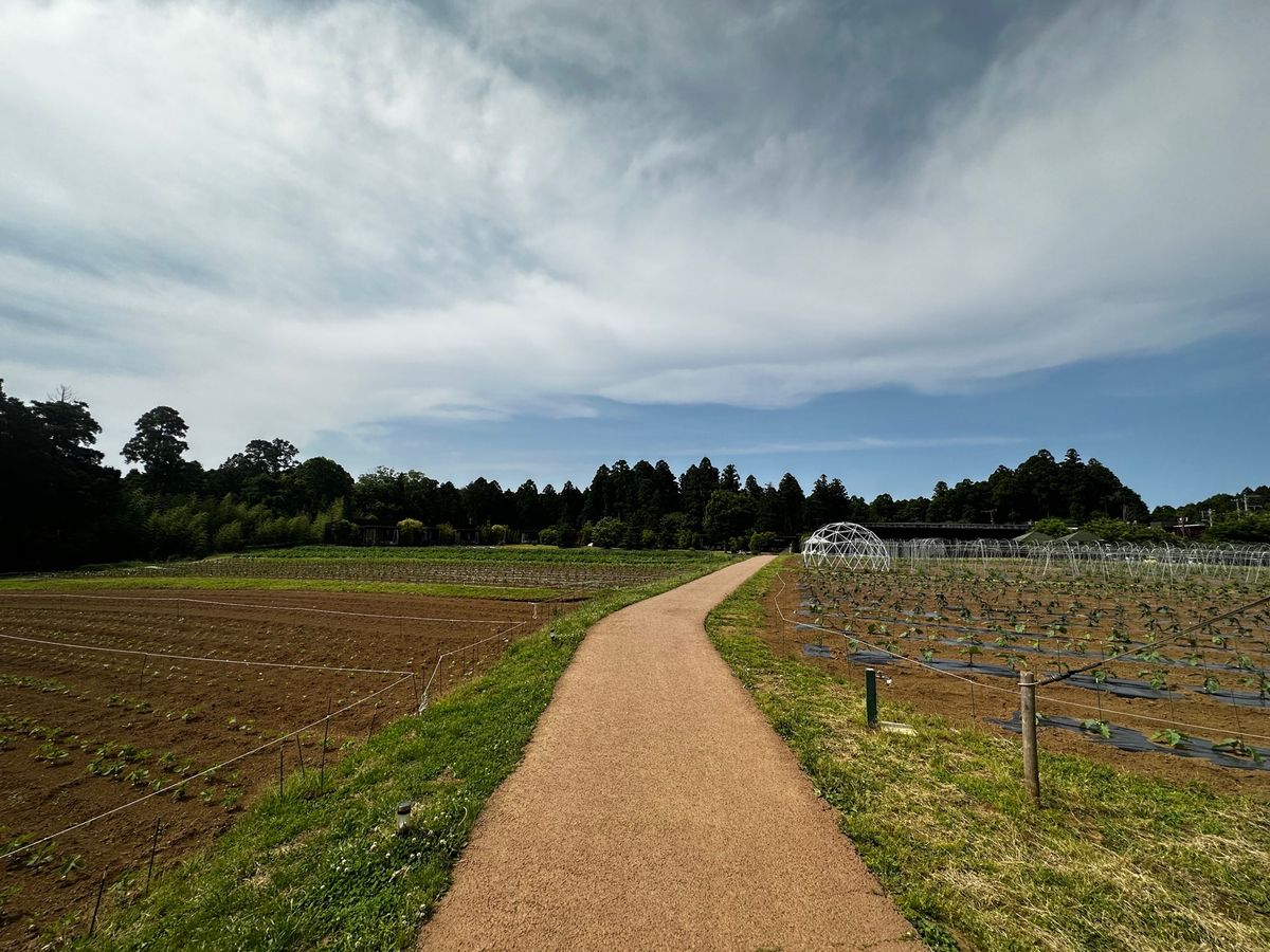 直だと1.5時間位みたいなのだけど、結局2.5時間くらいかかって到着！

...