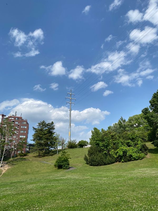 日本・北海道「梅雨から逃げる旅！北海道」の写真：平岸高台公園は心躍り心落ち着く場所です。
