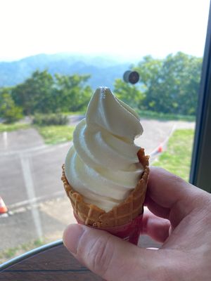 初めて藻岩山に登りました。
夜景がすごいらしいけど、混んでない昼間をチョイ...