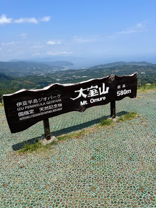 日本・静岡県「伊豆」の写真：料理が美味しかった。