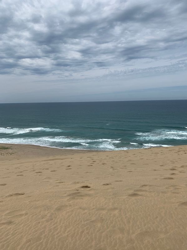 日本・鳥取県「鳥取〜奈良旅行」の写真