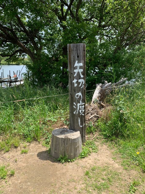 日本・東京「東京葛飾柴又〜亀有」の写真：矢切の渡し